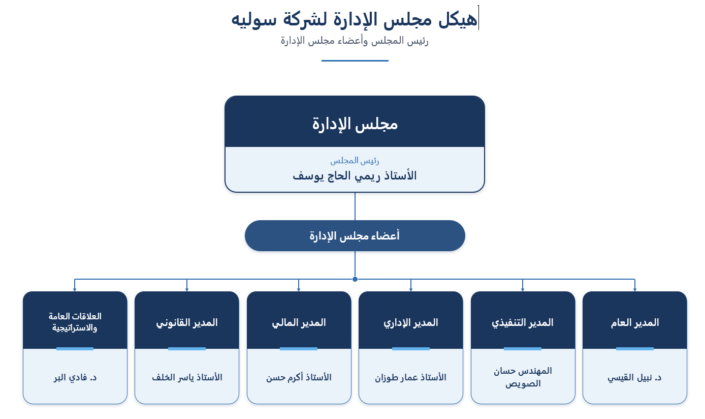 هيكل مجلس الإدارة لشركة سوليه